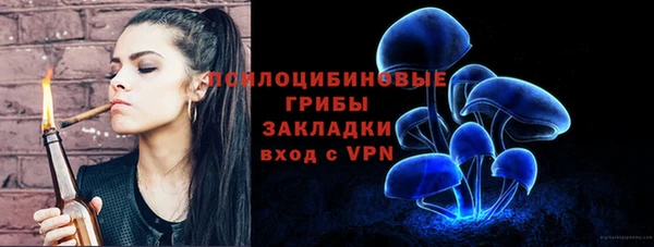 МДПВ Алапаевск