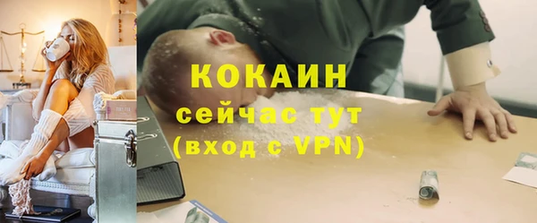 мяу мяу мука Кинешма