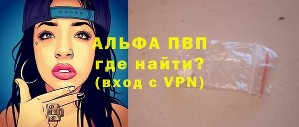 PSILOCYBIN Козельск