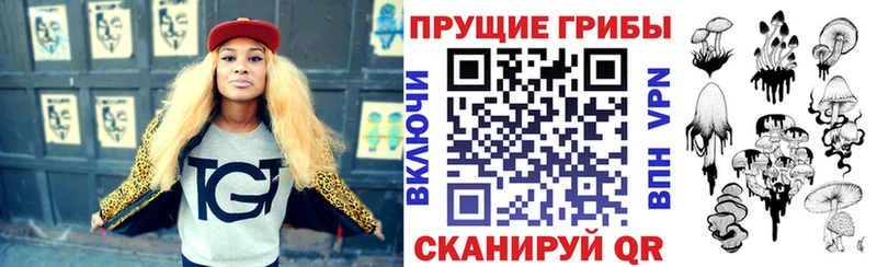 Купить закладки  Вичуга  Галлюциногенные грибы MAGIC MUSHROOMS 