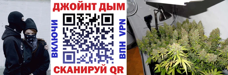 Канабис ГИДРОПОН  Купить закладки  Вичуга 